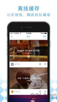 微同网手机在线视频,畅享海量影视资源，轻松观影新体验
