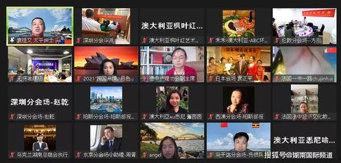 国人在线视频频,趋势与洞察