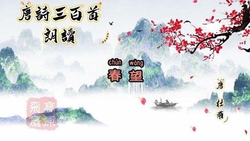 古诗春望在线视频,古韵盎然，岁月如诗