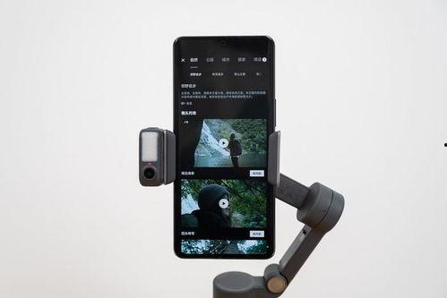 手机在线视频拍卖,创新交易模式引领潮流