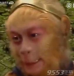 西游性事在线视频,一场跨越时空的奇幻之旅