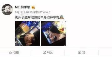 街头强袭在线视频,视频揭秘暴力冲突现场