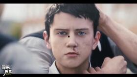 欧美性观看在线视频,探索多元文化魅力