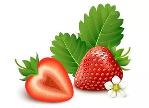 先锋草莓资源在线视频,在线视频深度解析