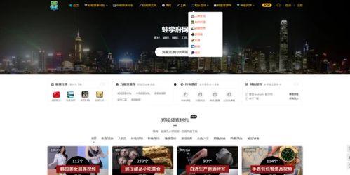 在线视频那种网页,内容布局与观看体验深度解析  第2张