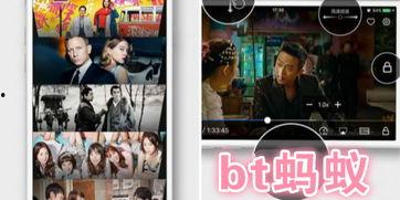 全网vip在线视频,独家内容一网打尽