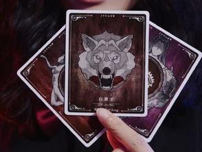 wco狼人杀在线视频,揭秘线上版“狼人杀”的激情与智慧  第1张